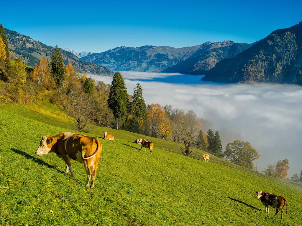 Arcadia Appartments Bad Hofgastein Εξωτερικό φωτογραφία